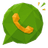WhatsApp no fluxo